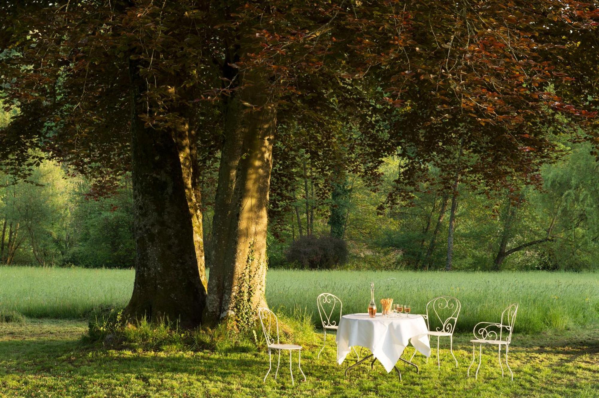 Chateau De Martigny Bed & Breakfast Colmey Exterior foto