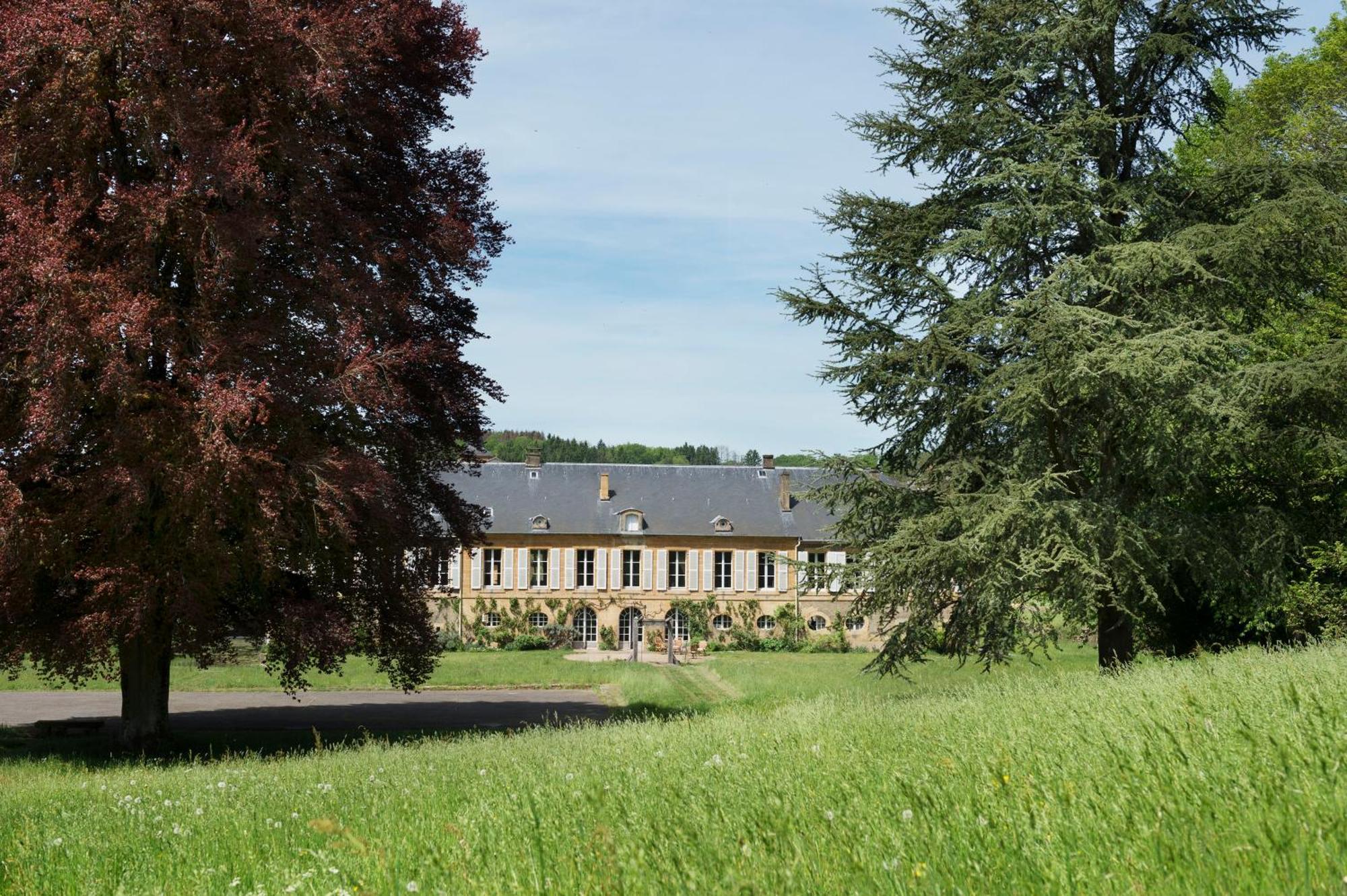 Chateau De Martigny Bed & Breakfast Colmey Exterior foto