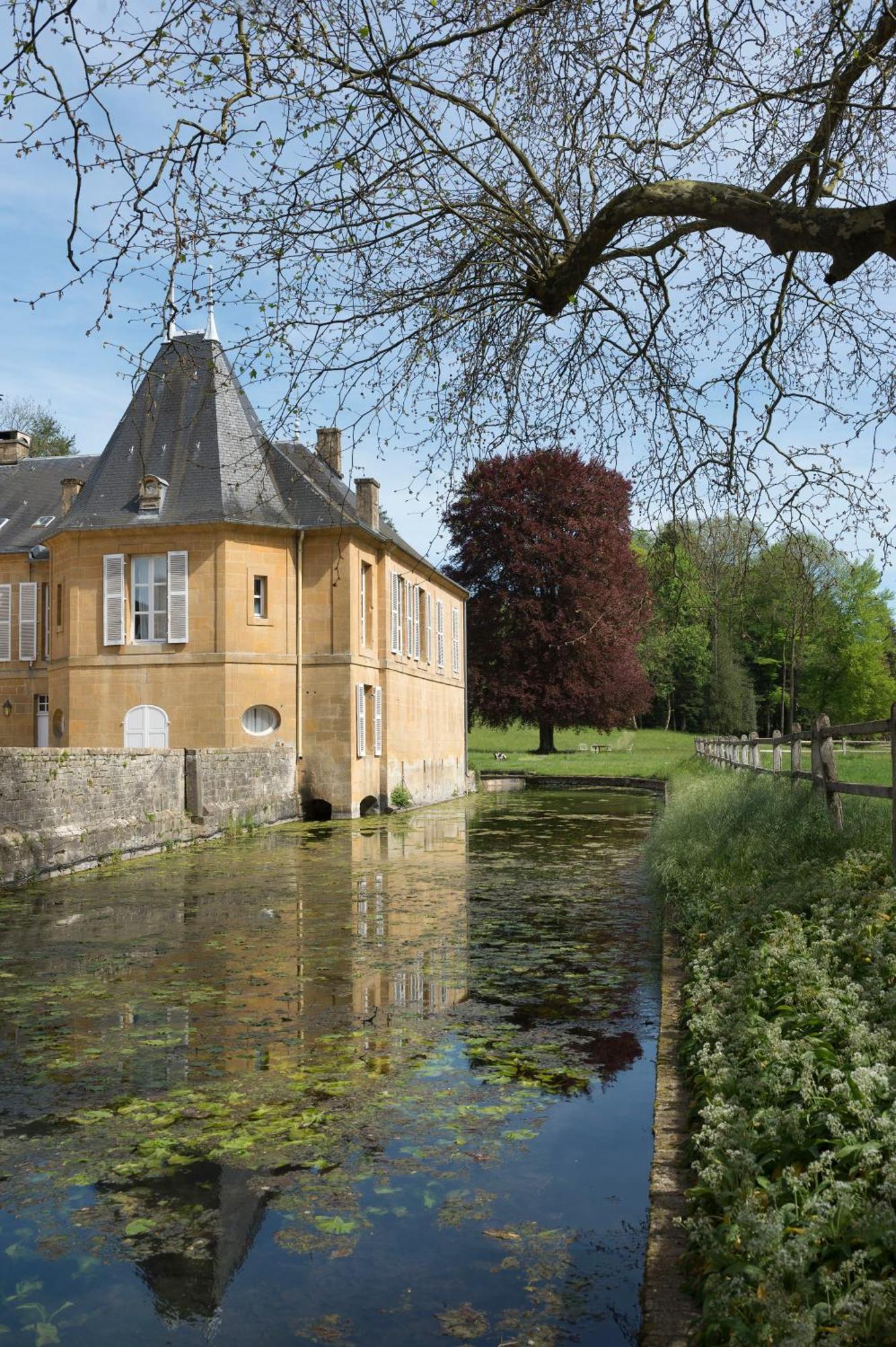 Chateau De Martigny Bed & Breakfast Colmey Exterior foto